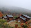 봉황산자연휴양림 신축동의 욕실 내부 모습으로, 세면대와 샤워실이 분리된 구조로 깔끔하게 구성되어 있다. 전반적으로 회색 타일을 사용하여 차분하고 모던한 분위기를 자아내며, 세면대는 넓은 상판 위에 원형 라인의 세련된 화이트 세면볼이 놓여 있고, 그 위로는 아치형 거울이 설치되어 있다. 우측으로는 투명 유리 칸막이로 분리된 샤워 공간이 있으며, 안쪽에는 변기와 샤워기가 설치되어 있다. 욕실 입구 바닥에는 파란 슬리퍼가 가지런히 놓여 있어 실용적인 면도 더해준다.