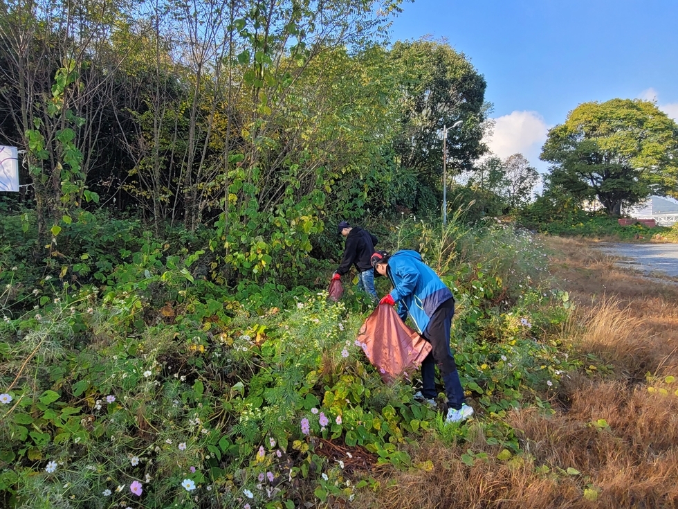 빨간색 쓰레기 봉투를 든 남성들이 풀 속에서 쓰레기를 줍고 있는 모습