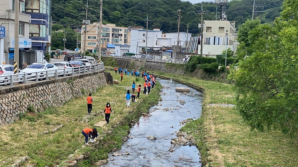 ▲흙공을 던지는 참여자들의 모습 및 전경