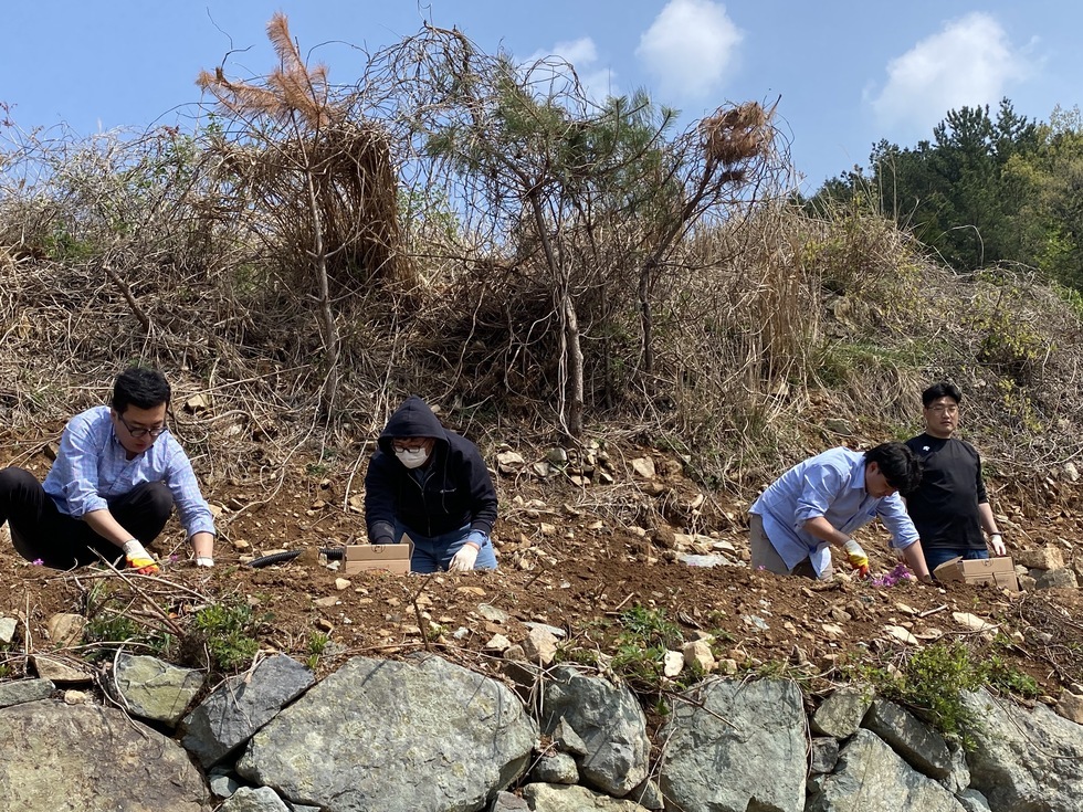 여수시도시관리공단 직원들이 산비탈에서 나무심기를 하고 있다. 돌이 많은 경사진 땅 위에 쪼그려 앉아 꽃모종과 나무를 심으며 흙을 다지는 모습이다. 작업용 장갑을 낀 참가자들은 진지한 표정으로 환경 보호 활동에 참여하고 있으며, 배경에는 마른 풀과 나무들이 보인다. 4명의 남자 참가자가 활동 중이며, 한 남자는 카메라를 바라보며 서 있다.