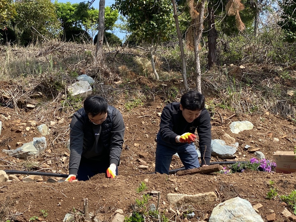 두 명의 남성이 봄 햇살 아래 산비탈에서 나무와 꽃을 심고 있다. 검은색 상의를 입고 작업용 장갑을 낀 채 흙을 다지며 묘목을 심는 모습이다. 주변은 마른 풀과 나무, 돌들이 흩어져 있으며 오른쪽 하단에는 보라색 꽃이 심어진 모습도 보인다.