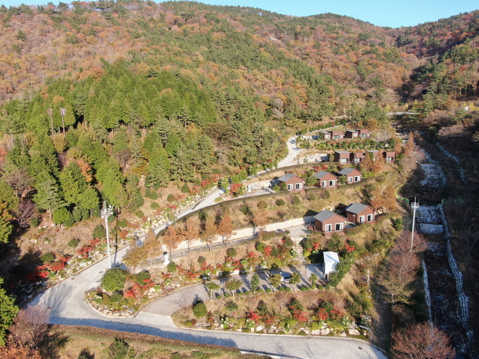 드론으로 촬영된 가을 산자락 전경 속에 리모델링과 신관 개장으로 새단장을 마친 봉황산자연휴양림이 자리하고 있다. 울창한 침엽수와 단풍나무가 어우러진 숲 사이로 산책로와 도로가 이어지며, 붉은 지붕을 가진 숙박동들이 계단식으로 배치되어 있다. 각 건물은 나무들에 둘러싸여 자연과 조화를 이루고 있으며, 전경 아래에는 소형 주차장과 조경시설도 함께 조성되어 있다.