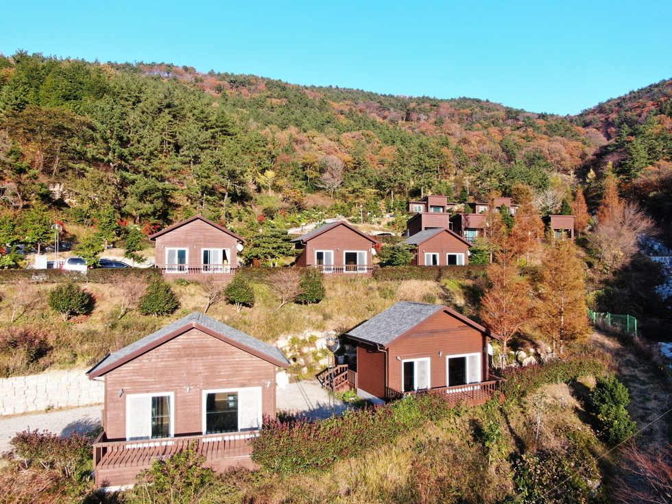가을빛이 물든 산자락을 배경으로 리모델링을 마친 봉황산자연휴양림의 목조 숙소들이 계단식으로 배치되어 있다. 연갈색 톤의 나무 외벽을 가진 단독형 숙소들이 정돈되게 들어서 있으며, 숙소마다 데크와 큰 창문이 설치되어 있어 자연을 감상하기에 좋다. 울창한 소나무와 단풍나무들이 어우러져 있으며, 붉고 노랗게 물든 나뭇잎이 주변 경관을 따뜻하게 물들이고 있다.