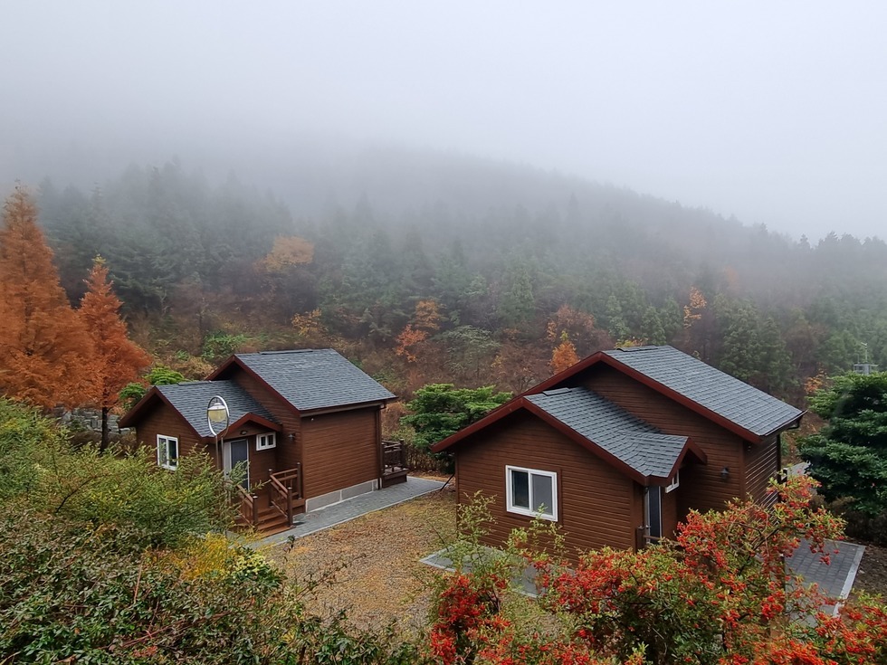 안개가 자욱하게 깔린 숲속에 갈색 목조 건물 두 채가 나란히 자리 잡고 있는 봉황산자연휴양림의 풍경이다. 뒤편의 울창한 침엽수림은 짙은 안개에 싸여 신비로운 분위기를 자아내며, 단풍이 물든 나무들과 붉은 열매가 달린 수풀들이 주변을 둘러싸고 있다. 잔잔한 비 또는 이슬에 젖은 듯한 촉촉한 분위기 속에서 조용히 머물기 좋은 고요한 자연 휴식처의 모습을 담고 있다.